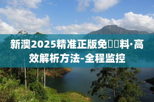 新澳2025精准正版免費資料具有参考性,全面释义、解释与落实