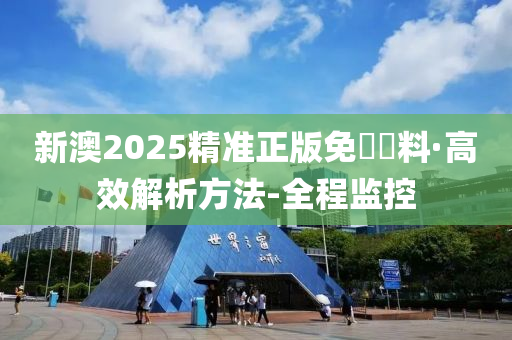 新澳2025精准正版免費資料具有参考性,全面释义、解释与落实