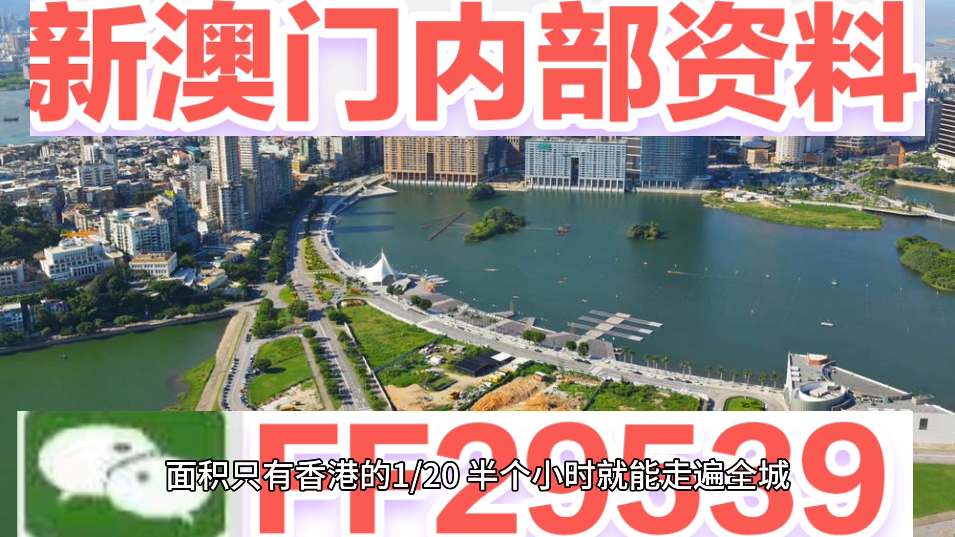 2025年新澳门天天开彩,全面解答解释落实_