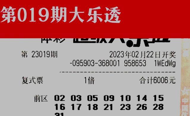 关于2025天天彩正版免费资料的全面释义与落实策略探讨