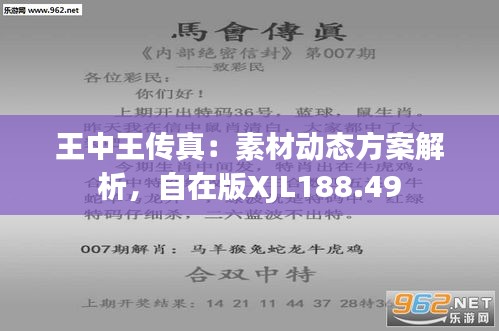 王中王493333WWW马头诗,科学解答解释落实_me59.87.19