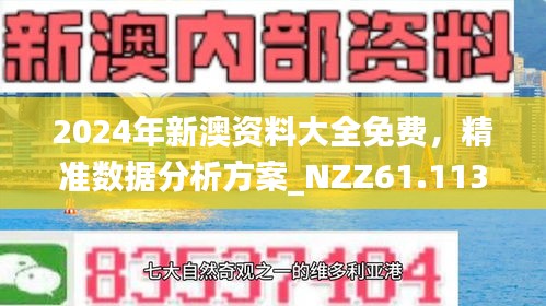 新澳精准资料免费提供网站—揭秘背后的秘密与真相(回忆版)