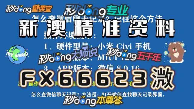 新澳门与香港准确内部免费资料精准大全,精选解析、落实与解释